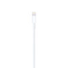 Lightning to USB Cable (1 m) - Image 3